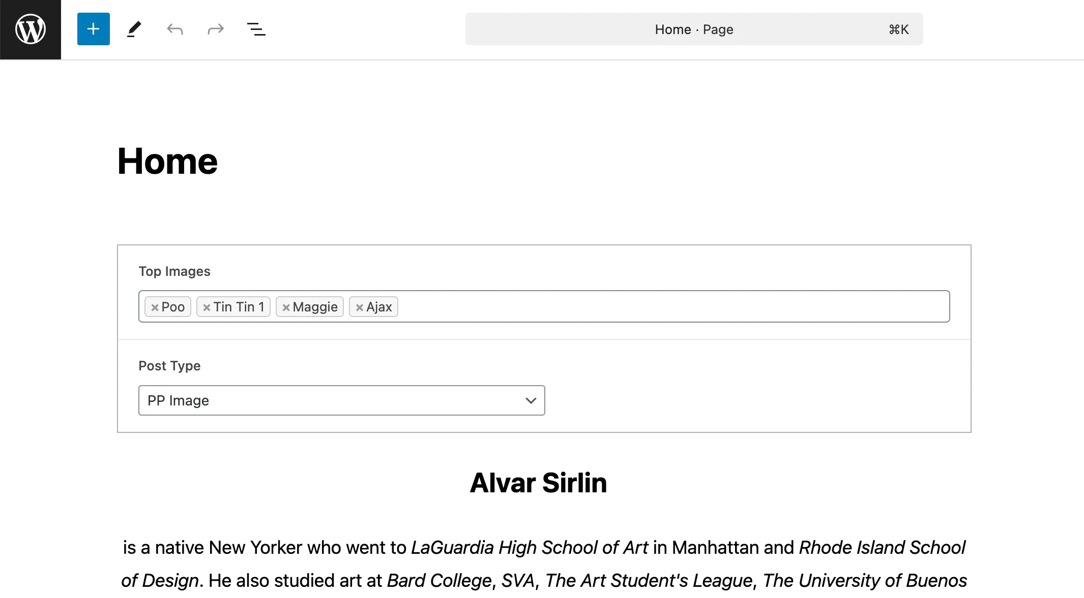 screenshot of Wordpress block interface